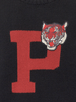 Polo Ralph Lauren Tiger Patch Sweater