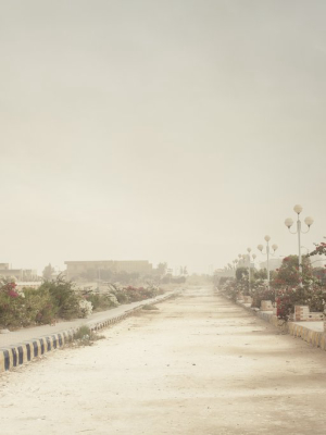 Road - Egypt