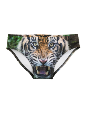 Rumble In The Jungle | Tiger Swim Brief