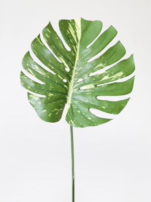 Artificial Philodendron Tropical Leaf - 23.5"