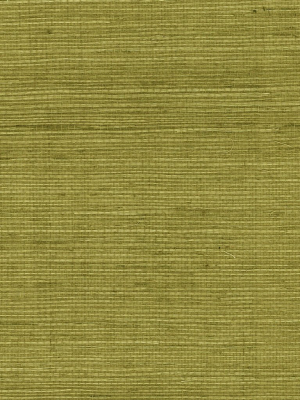 Sisal Grasscloth Wallpaper In Olive From The Luxe Retreat Collection By Seabrook Wallcoverings