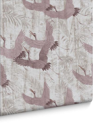 Crane Wallpaper In Pink From The Exclusives Collection By Graham & Brown