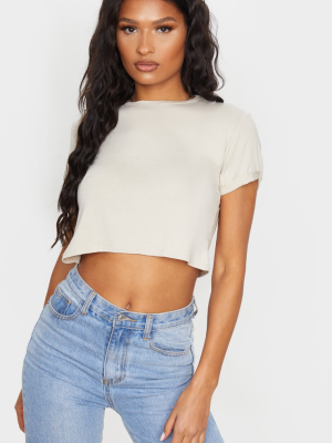 Basic Stone Roll Sleeve Crop T Shirt