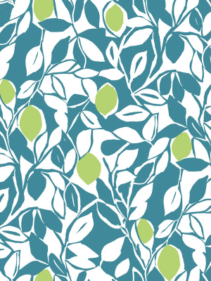 Loretto Citrus Wallpaper In Teal From The Pacifica Collection By Brewster Home Fashions