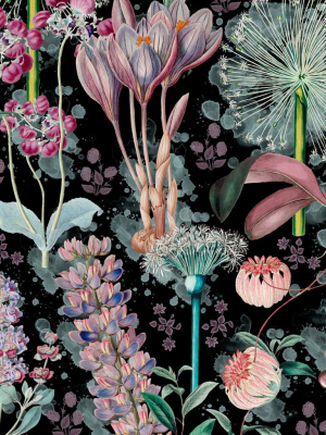 Garden Of Eden Wallpaper In Black And Mauve From The Florilegium Collection By Mind The Gap