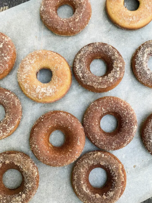 Apple Cider Doughnut Making Mix