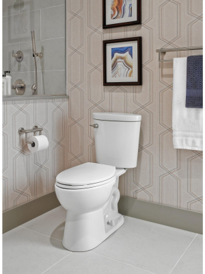 Delta Faucet 41550 Décor Assist Wall Mounted Toilet Paper Holder