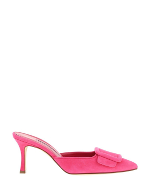 Manolo Blahnik Maysale Buckled Mules