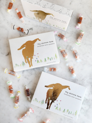 Big Picture Farm Caramels Golden Goat Gift Box