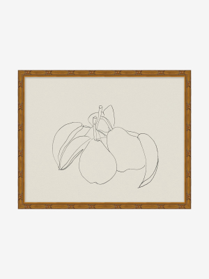 Sketched Fruit Iii