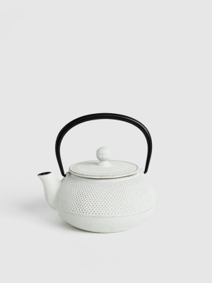 Cast-iron Japanese Teapot