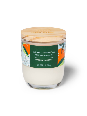 Winter Citrus & Pine Candle - 5.5oz - Everspring™