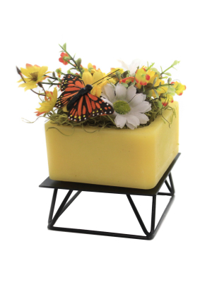 Habersham Candles 5.5" Monarch Migration With Stand Flameless Fresh Herbal - Flameless Candles