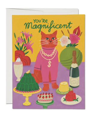 You're Magnificent Cat Card - Box Of 8