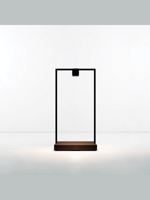 Curiosity Table Lamp