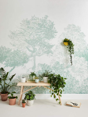 Classic Hua Trees Mural Wallpaper In Green By Sian Zeng