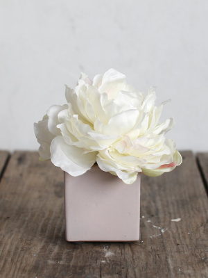 Shabby Chic Forever Florals - Sweetheart
