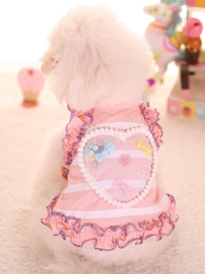 Spring Love - Pet Fashion