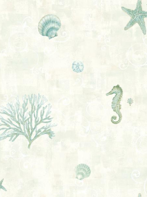 Boca Raton Teal Seashells Wallpaper From The Seaside Living Collection By Brewster Home Fashions