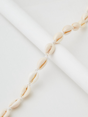 Aeo Cowrie Shell Choker