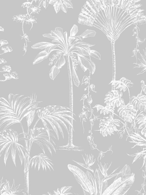 Brunei Wallpaper In Silver From The Capsule Collection By Graham & Brown