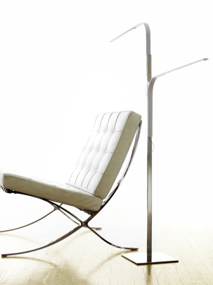 Lim Floor Lamp