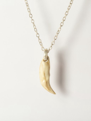 Bear Tooth Necklace Ghost (large, B+ma)