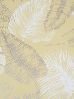 Daintree Wallpaper In Yellow From The Capsule Collection By Graham & Brown