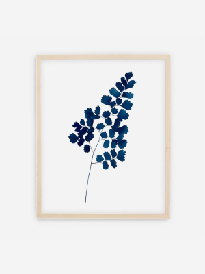 Living Pattern Framed Print - Indigo Maidenhair Fern No. 1