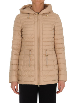 Woolrich Zip-up Hooded Jacket