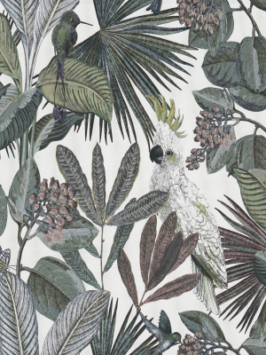 Tropical Paradise Wallpaper In White By Walls Republic