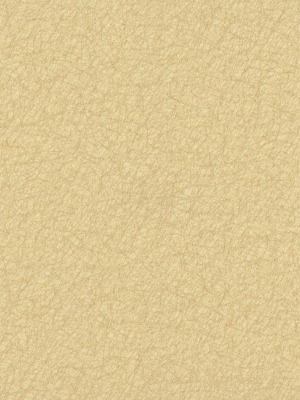 Tossed Fibers Wallpaper In Beige And Pale Metallic Design By York Wallcoverings