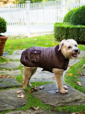 Brown Barn Coat With Brown Corduroy Collar