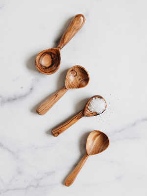 Mini Spice Spoon Set