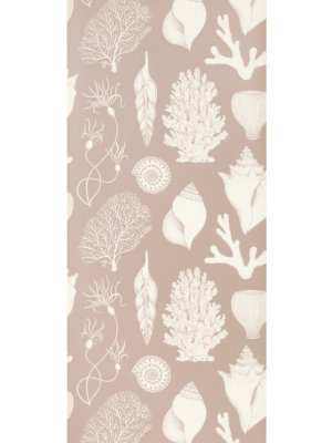 Ferm Living Kids Katie Scott Wallpaper - Shells