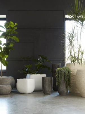 Ava Planter