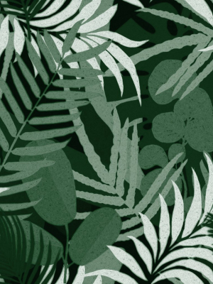 Jardin Del Sol Wallpaper In Green From The Wallpaper Compendium Collection By Mind The Gap