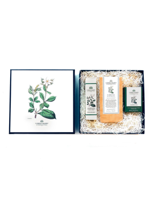 Gardenia Gift Set