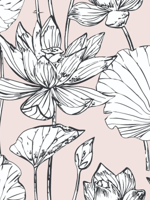 Lotus Floral Peel-and-stick Wallpaper In Blush And Ebony By Nextwall