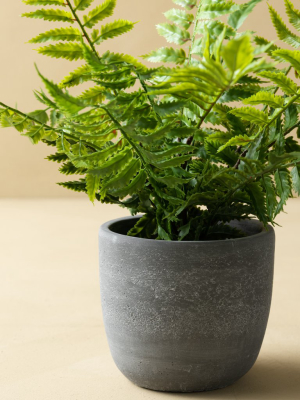 Potted Faux Fern