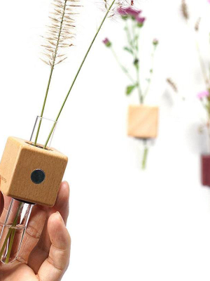 Smart Magnet Vase Cubes - Mixed