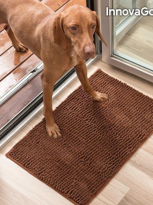 Tapis Absorbent Pour Animaux - France Et Belgium