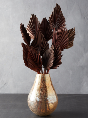 Preserved Palm Spear Bunch