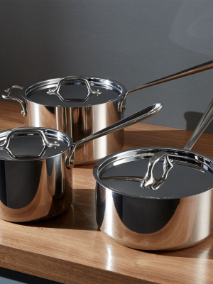 All-clad ® Stainless Saucepans With Lid