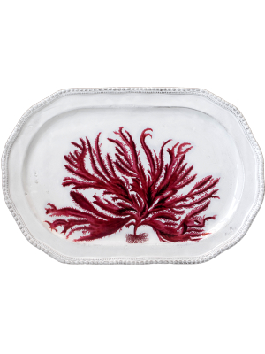 Red Seaweed Platter