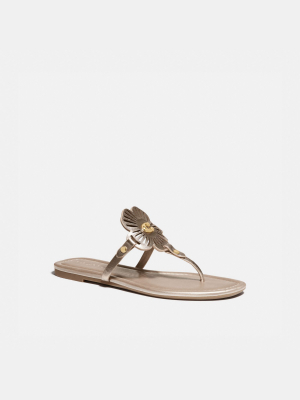 Julia Sandal