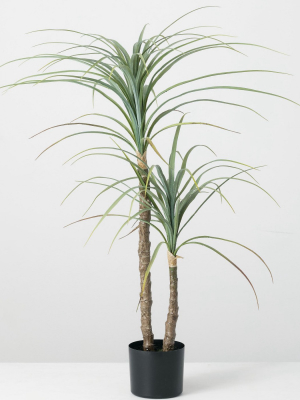 Sullivans Artificial Maguey Potted 40"h Green