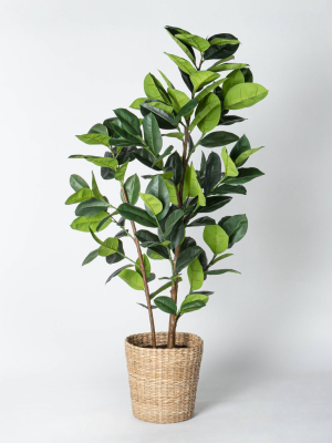 Artificial Rubber Leaf Tree In Pot Green - Threshold™ Designed With Studio Mcgee