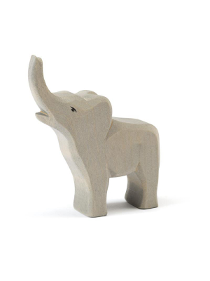 Ostheimer Small Trumpeting Elephant