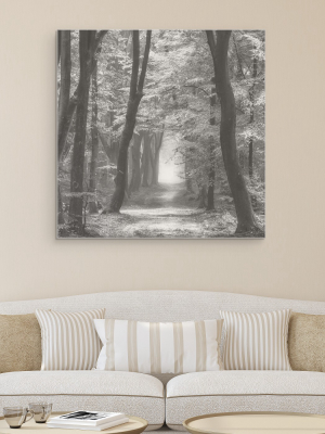 35"x35" Speuldimensions Spring By Lars Van De Goor Art On Canvas Black - Fine Art Canvas